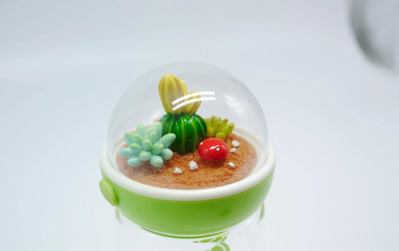Cactus Glass Water Bottle