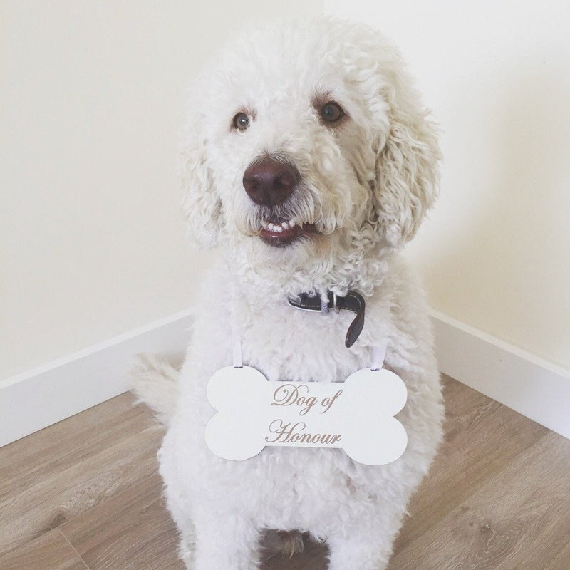 Dog of Honour Wedding Sign