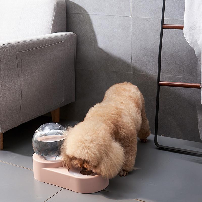 Cat Dog Feeder Fountain Bubble Large Drinking Bowl Pet Automatic Cats