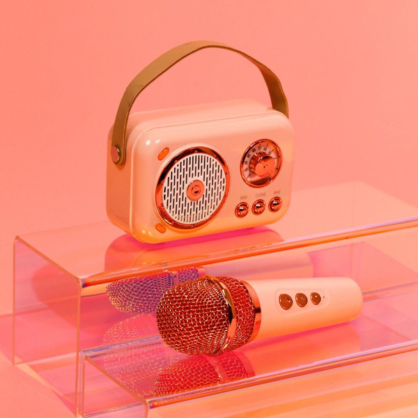 On-the-Go Mini Karaoke Kit